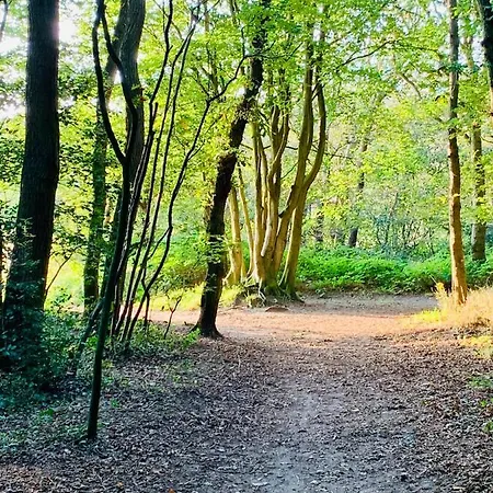 بيت للعطل Klaproos Nh